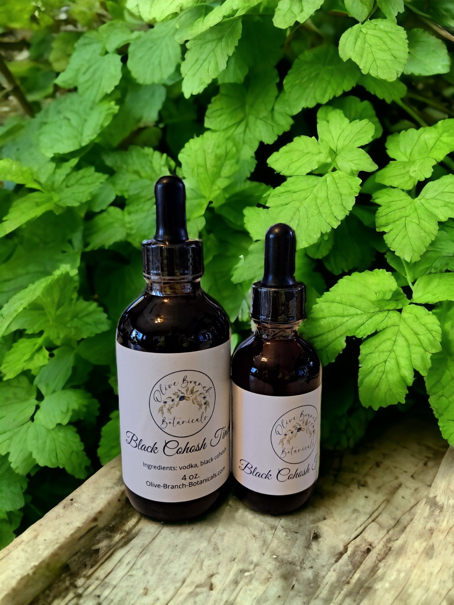 Black Cohosh tincture