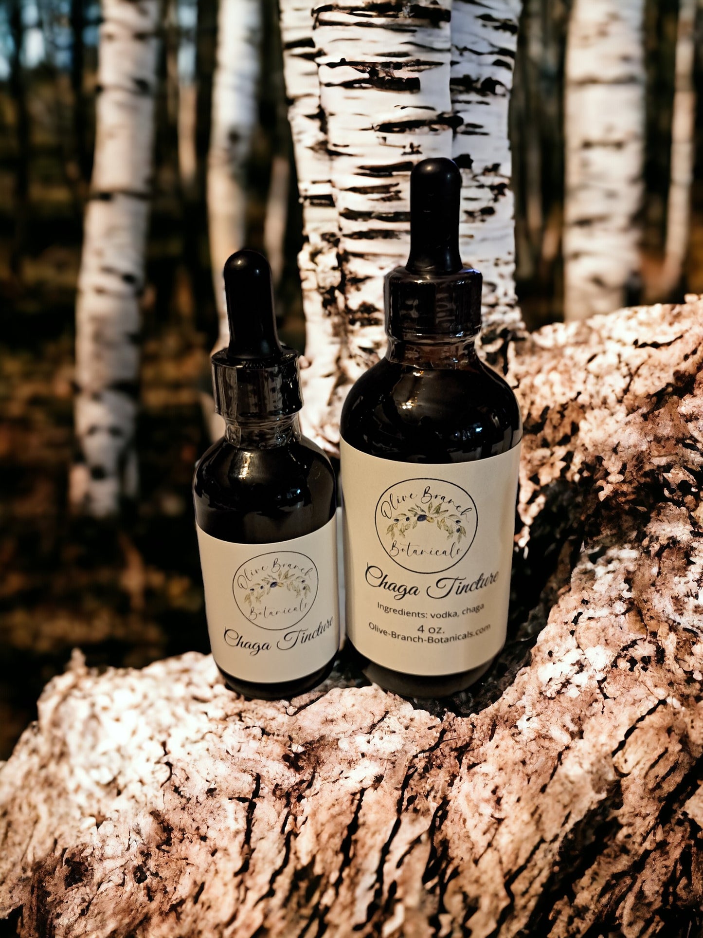 Chaga Mushroom Tincture