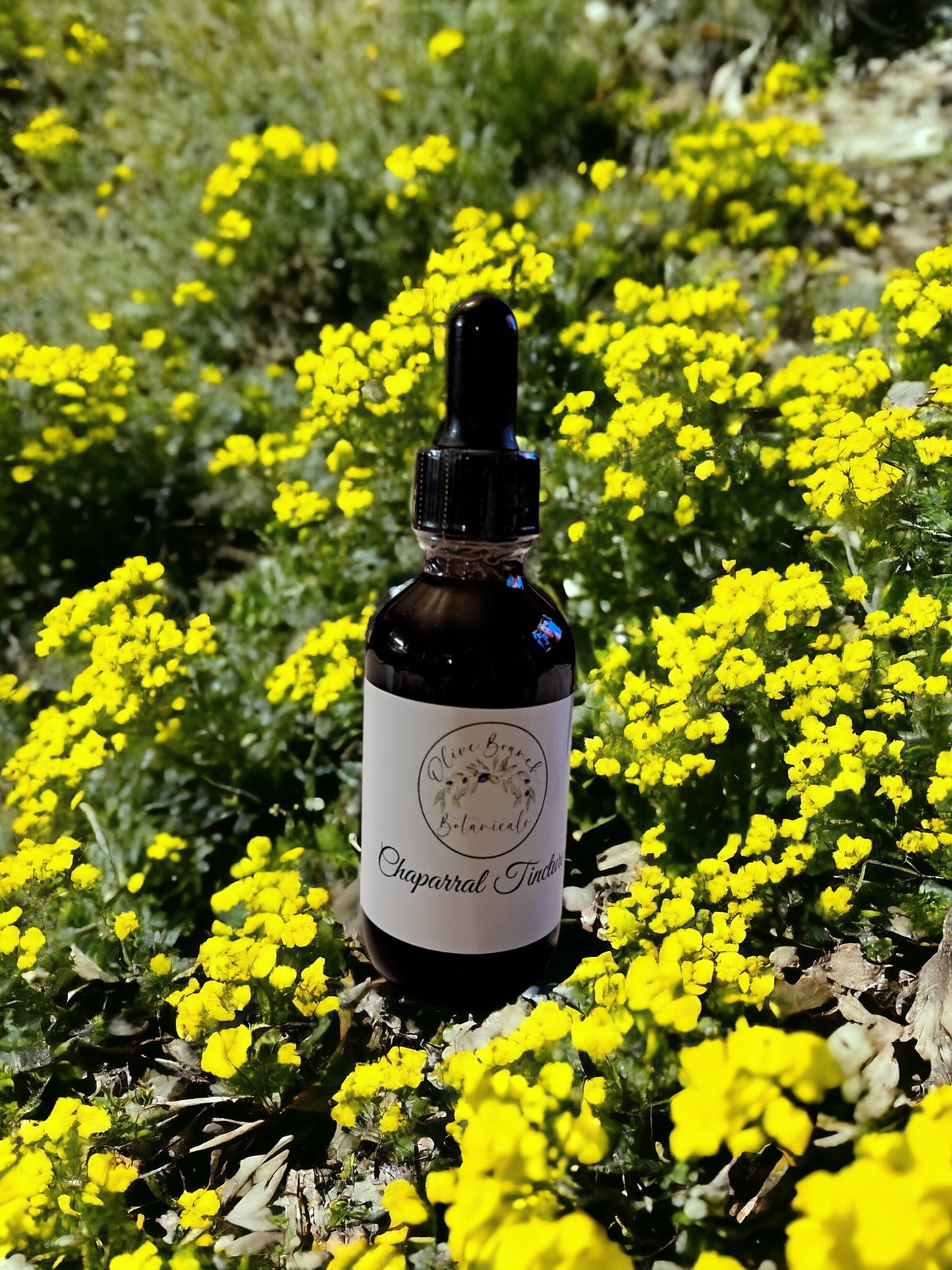 Chaparral tincture