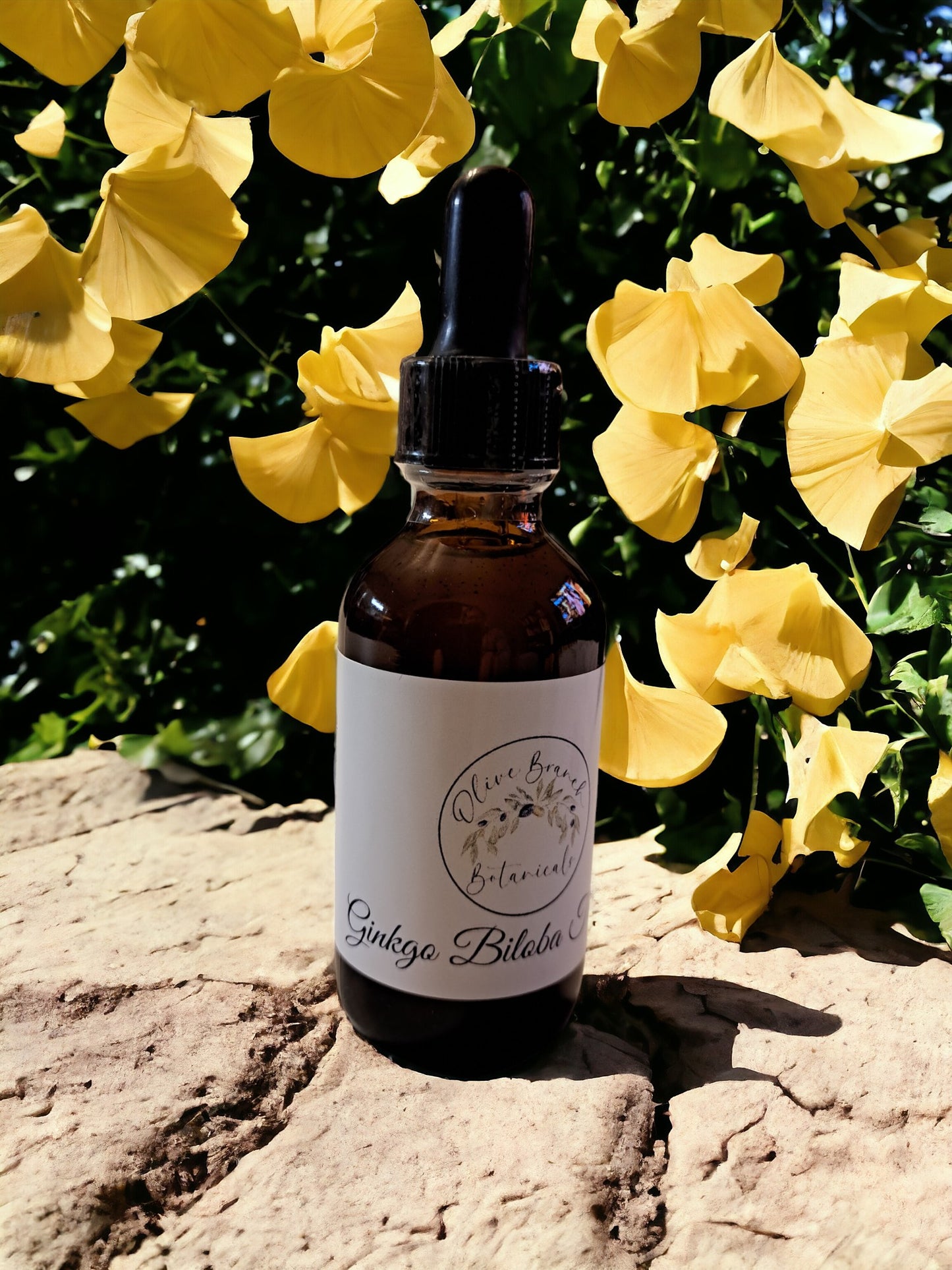 Ginkgo Biloba tincture