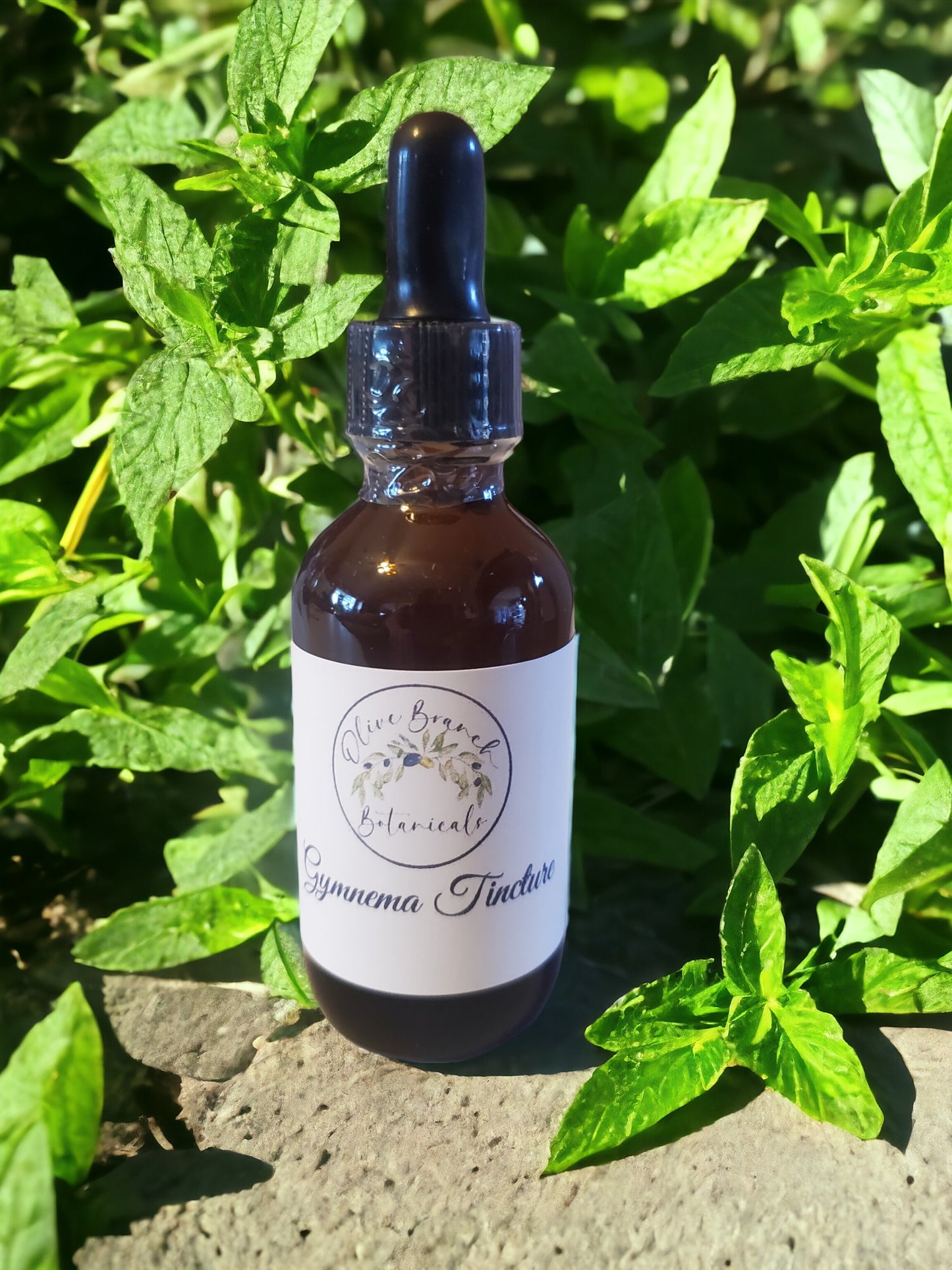 Gymnema tincture