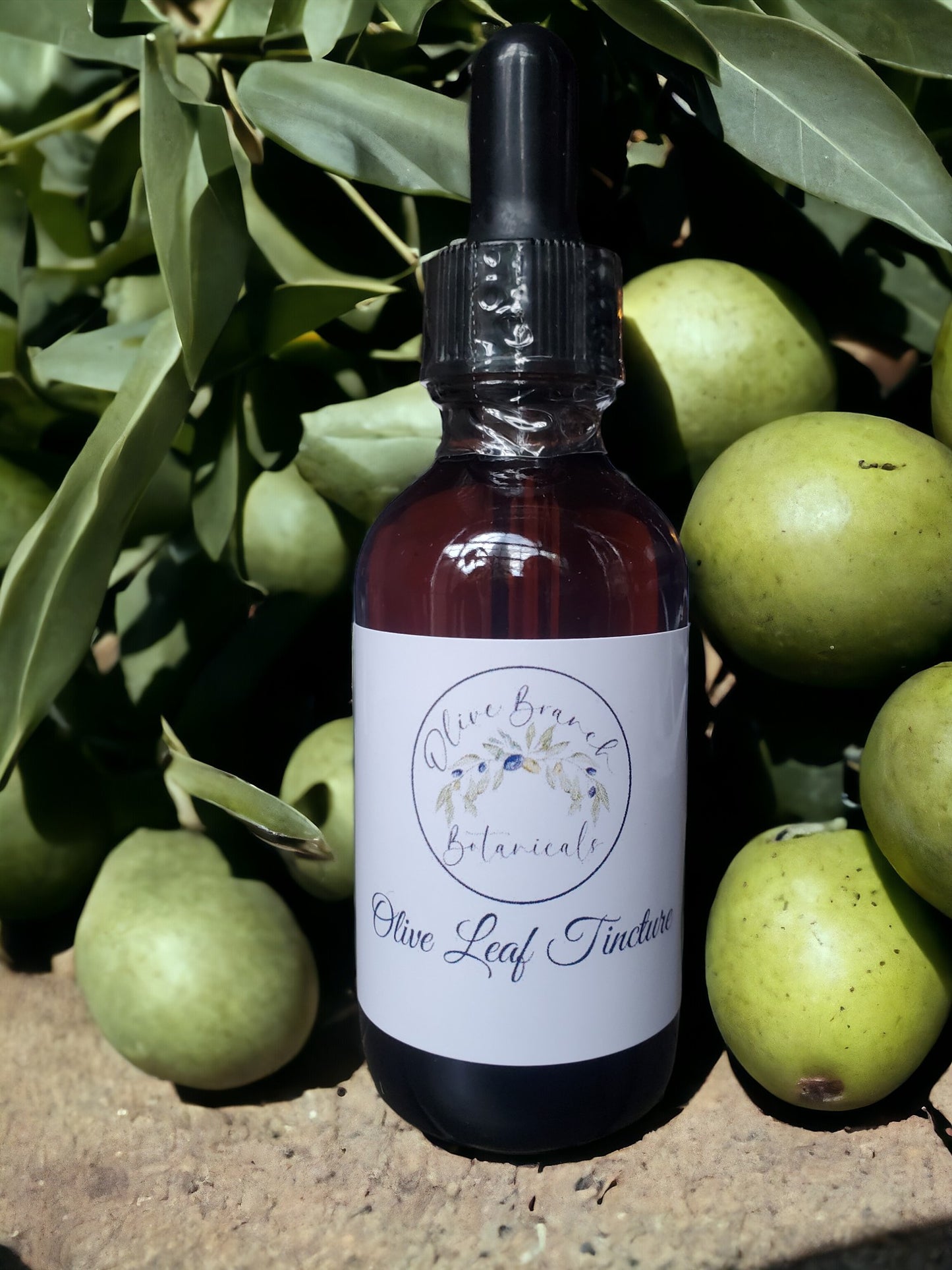 Olive Leaf tincture