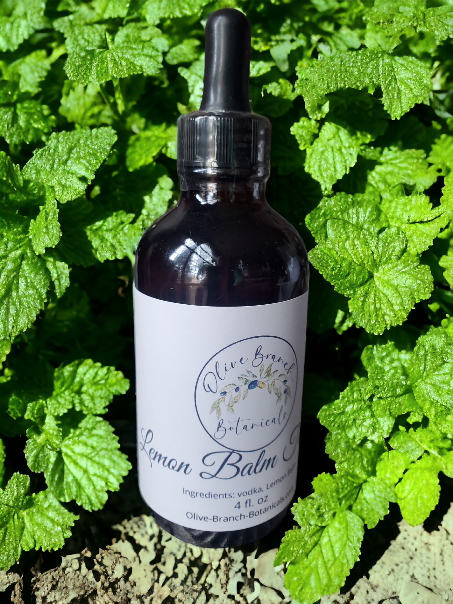 Lemon Balm tincture