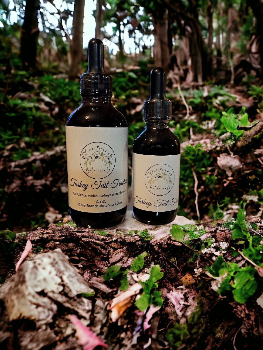 Turkey Tail Mushroom Tincture